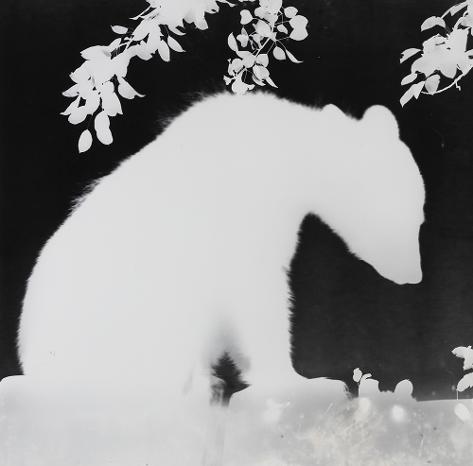 Visiting Artist Q&A: Zana Briski